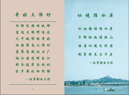 2026ȫ�����ᱨ�� �й�Ϋ���������ﻯʯ�ղؼҡ���������